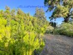 Foto16