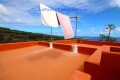 Foto8