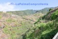 Foto52