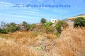 Foto23
