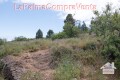 Foto5