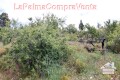 Foto6