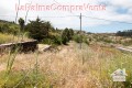 Foto7