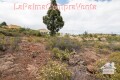 Foto17