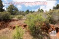 Foto8