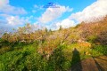 Foto17