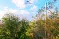 Foto23