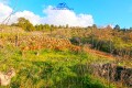 Foto31