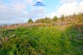 Foto47