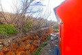Foto51