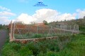Foto53