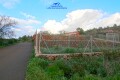 Foto54