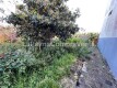 Foto6