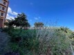 Foto8