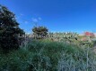Foto9