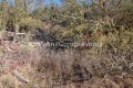 Foto12