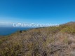 Foto8