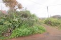 Foto7