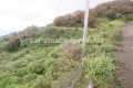Foto9
