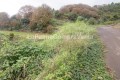 Foto15