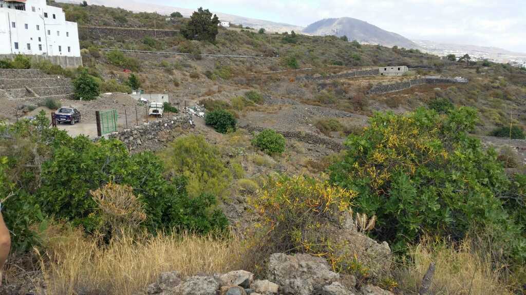 Foto suelo rústico en venta en guia de isora santa cruz de tenerife