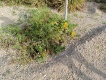 Foto11
