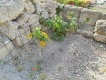 Foto30