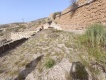 Foto31
