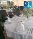 Foto6