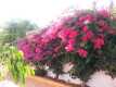 Foto5