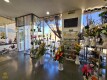 Foto12