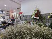 Foto16