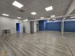 Foto8