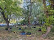 Foto20