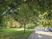 Foto23