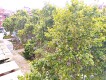 Foto32