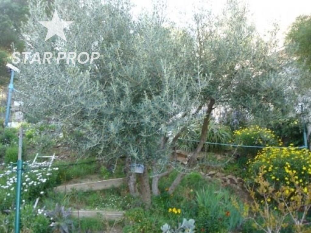 casa en llançà foto grande (2)