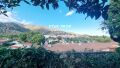 Foto36