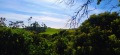 Foto9
