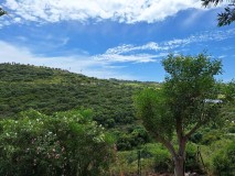 Foto42