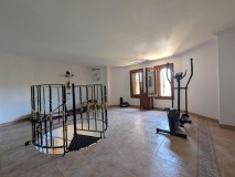 Foto35