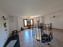Foto37