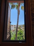 Foto41