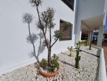 Foto38