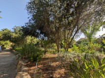 Foto49