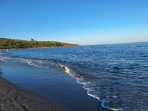 Foto42