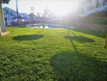 Foto33