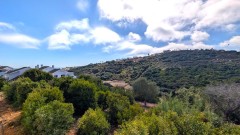 Foto11