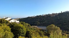 Foto13