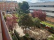 Foto8